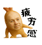 エビフライの毎日全ての会話に使うスタンプ（個別スタンプ：30）