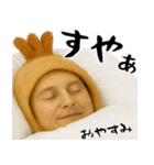 エビフライの毎日全ての会話に使うスタンプ（個別スタンプ：40）