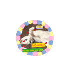 ゆずちゃん＆ママの楽しい猫ちゃん（個別スタンプ：2）
