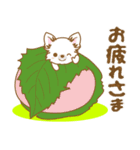 【犬屋】うちの子1番(チワワ)⑤（個別スタンプ：5）