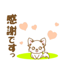 【犬屋】うちの子1番(チワワ)⑤（個別スタンプ：12）