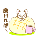 【犬屋】うちの子1番(チワワ)⑤（個別スタンプ：15）