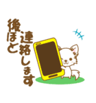 【犬屋】うちの子1番(チワワ)⑤（個別スタンプ：21）