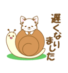 【犬屋】うちの子1番(チワワ)⑤（個別スタンプ：22）