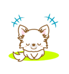 【犬屋】うちの子1番(チワワ)⑤（個別スタンプ：25）