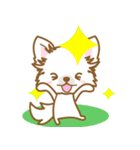 【犬屋】うちの子1番(チワワ)⑤（個別スタンプ：28）