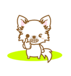 【犬屋】うちの子1番(チワワ)⑤（個別スタンプ：31）