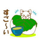 【犬屋】うちの子1番(チワワ)⑤（個別スタンプ：37）