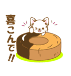 【犬屋】うちの子1番(チワワ)⑤（個別スタンプ：39）