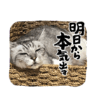 風＆レベッカ（個別スタンプ：5）