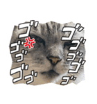 風＆レベッカ（個別スタンプ：6）