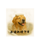 こむぎの日常(夏編)（個別スタンプ：3）
