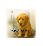 こむぎの日常(夏編)（個別スタンプ：5）