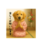 こむぎの日常(夏編)（個別スタンプ：7）