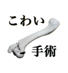 骨折だってさ（個別スタンプ：40）
