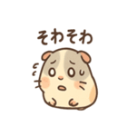 ころモルのじと目の敬語スタンプ（個別スタンプ：5）