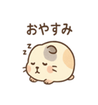 ころモルのじと目の敬語スタンプ（個別スタンプ：20）