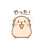 ころモルのじと目の敬語スタンプ（個別スタンプ：38）