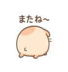 ころモルのじと目の敬語スタンプ（個別スタンプ：40）