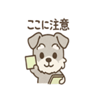メモシュナの気づかい敬語スタンプ（個別スタンプ：12）