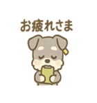 メモシュナの気づかい敬語スタンプ（個別スタンプ：25）