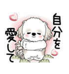 シーズー犬 2025 「悟りました」（個別スタンプ：2）