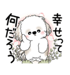 シーズー犬 2025 「悟りました」（個別スタンプ：3）