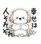 シーズー犬 2025 「悟りました」（個別スタンプ：4）