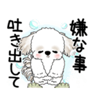 シーズー犬 2025 「悟りました」（個別スタンプ：7）