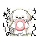 シーズー犬 2025 「悟りました」（個別スタンプ：9）