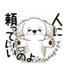 シーズー犬 2025 「悟りました」（個別スタンプ：10）