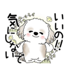 シーズー犬 2025 「悟りました」（個別スタンプ：11）