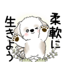 シーズー犬 2025 「悟りました」（個別スタンプ：13）