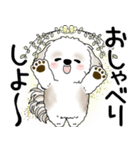 シーズー犬 2025 「悟りました」（個別スタンプ：16）