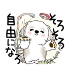 シーズー犬 2025 「悟りました」（個別スタンプ：17）