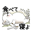 シーズー犬 2025 「悟りました」（個別スタンプ：19）