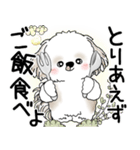 シーズー犬 2025 「悟りました」（個別スタンプ：20）