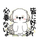 シーズー犬 2025 「悟りました」（個別スタンプ：23）