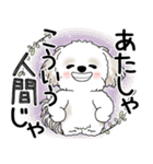 シーズー犬 2025 「悟りました」（個別スタンプ：25）