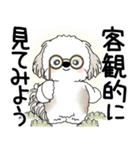 シーズー犬 2025 「悟りました」（個別スタンプ：27）