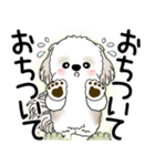 シーズー犬 2025 「悟りました」（個別スタンプ：28）