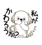 シーズー犬 2025 「悟りました」（個別スタンプ：30）