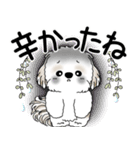 シーズー犬 2025 「悟りました」（個別スタンプ：31）
