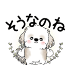 シーズー犬 2025 「悟りました」（個別スタンプ：33）