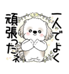 シーズー犬 2025 「悟りました」（個別スタンプ：34）