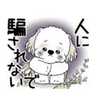 シーズー犬 2025 「悟りました」（個別スタンプ：35）