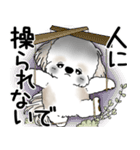 シーズー犬 2025 「悟りました」（個別スタンプ：36）
