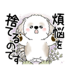 シーズー犬 2025 「悟りました」（個別スタンプ：39）