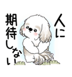 シーズー犬 2025 「悟りました」（個別スタンプ：40）