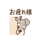 かげシュナのやんわり敬語スタンプ集（個別スタンプ：12）